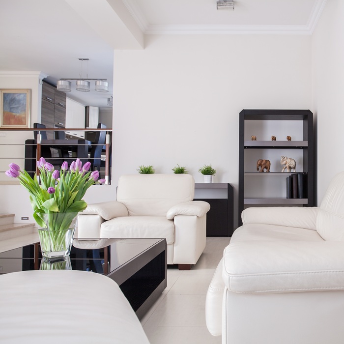 Modern living room interior real estate property